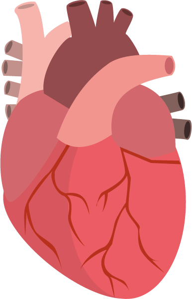 Heart Image